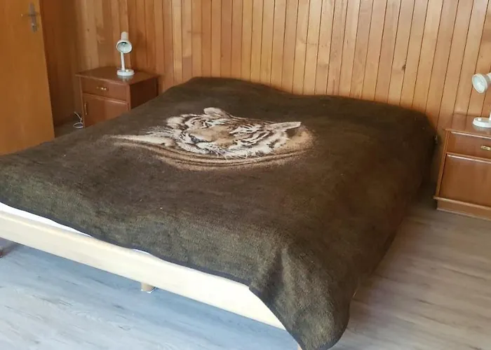 公寓 斯皮尔绍特公寓 *